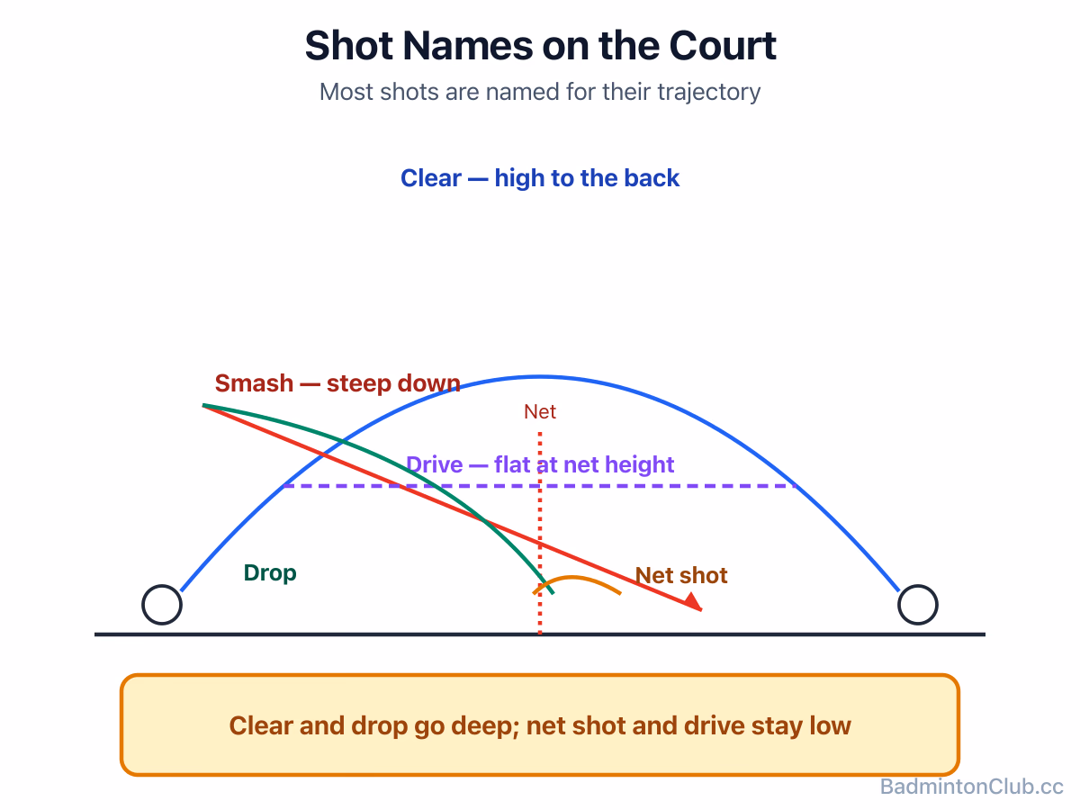 Badminton shot vocabulary mapped onto the court: clear and drop to the back, net shot and drive at the front
