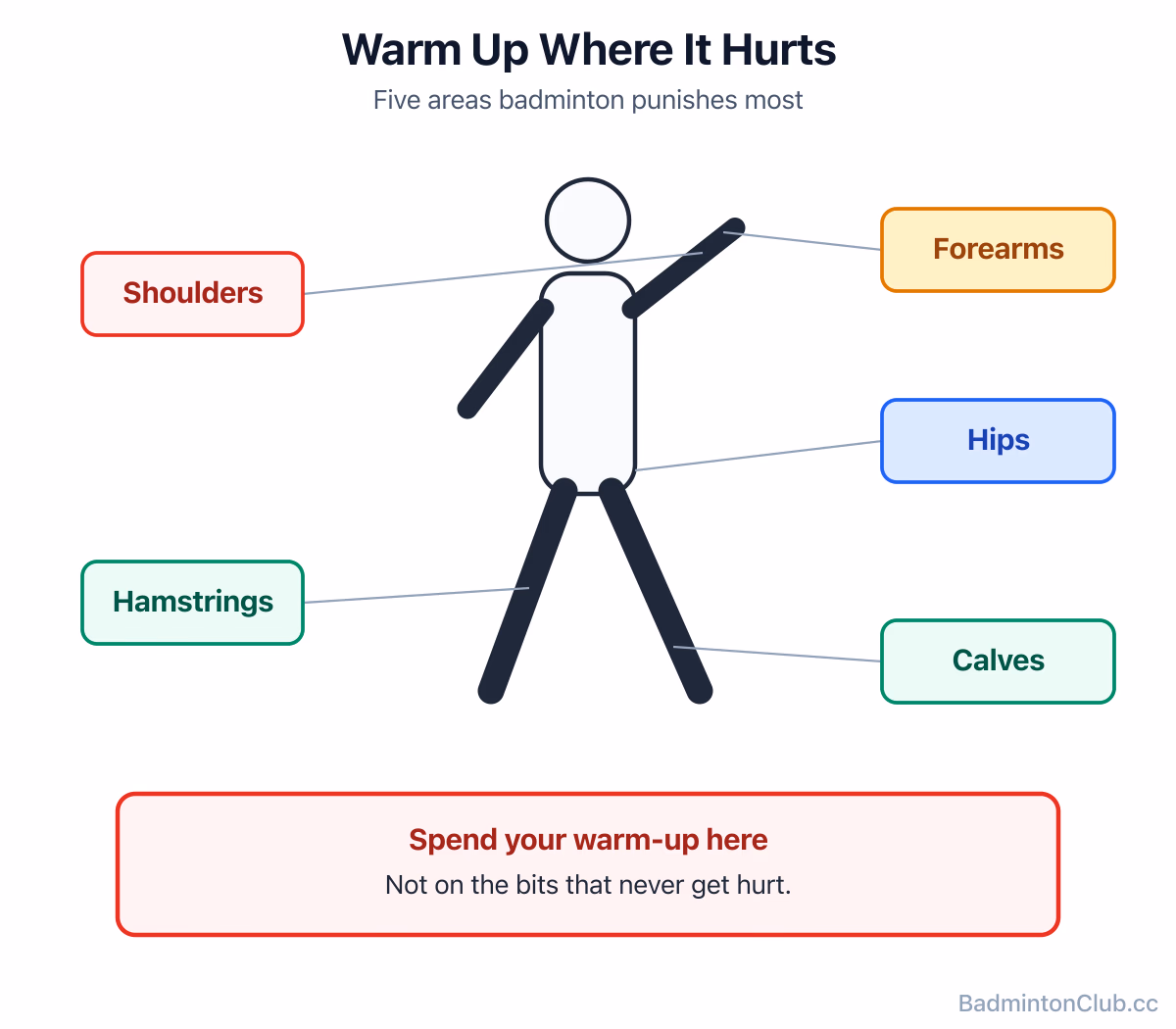 The five muscle areas to warm up before badminton — calves, hamstrings, hips, shoulders and forearms — mapped onto a player