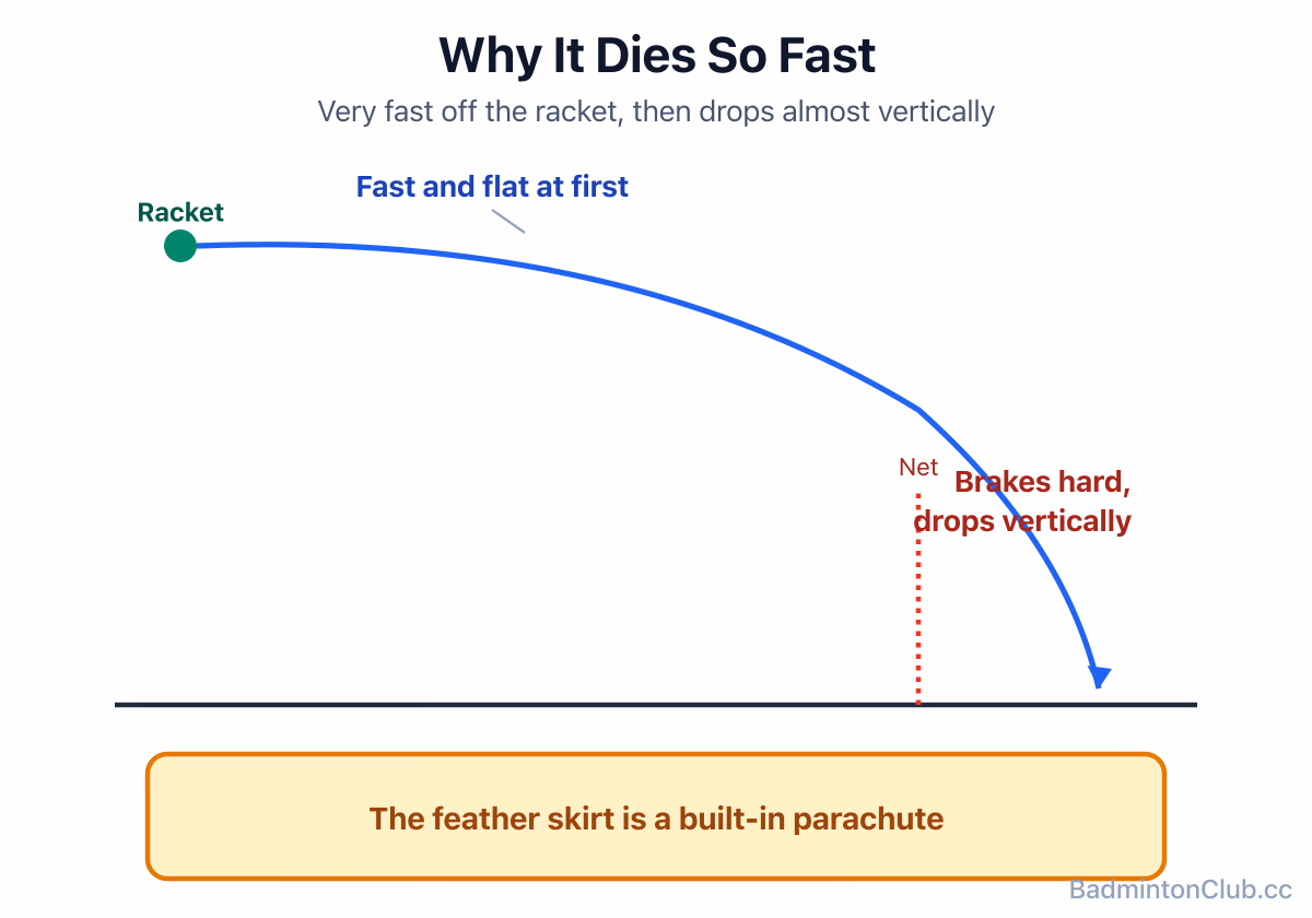 A shuttlecock's speed curve: very fast off the racket, decelerating sharply so it drops almost vertically by the net