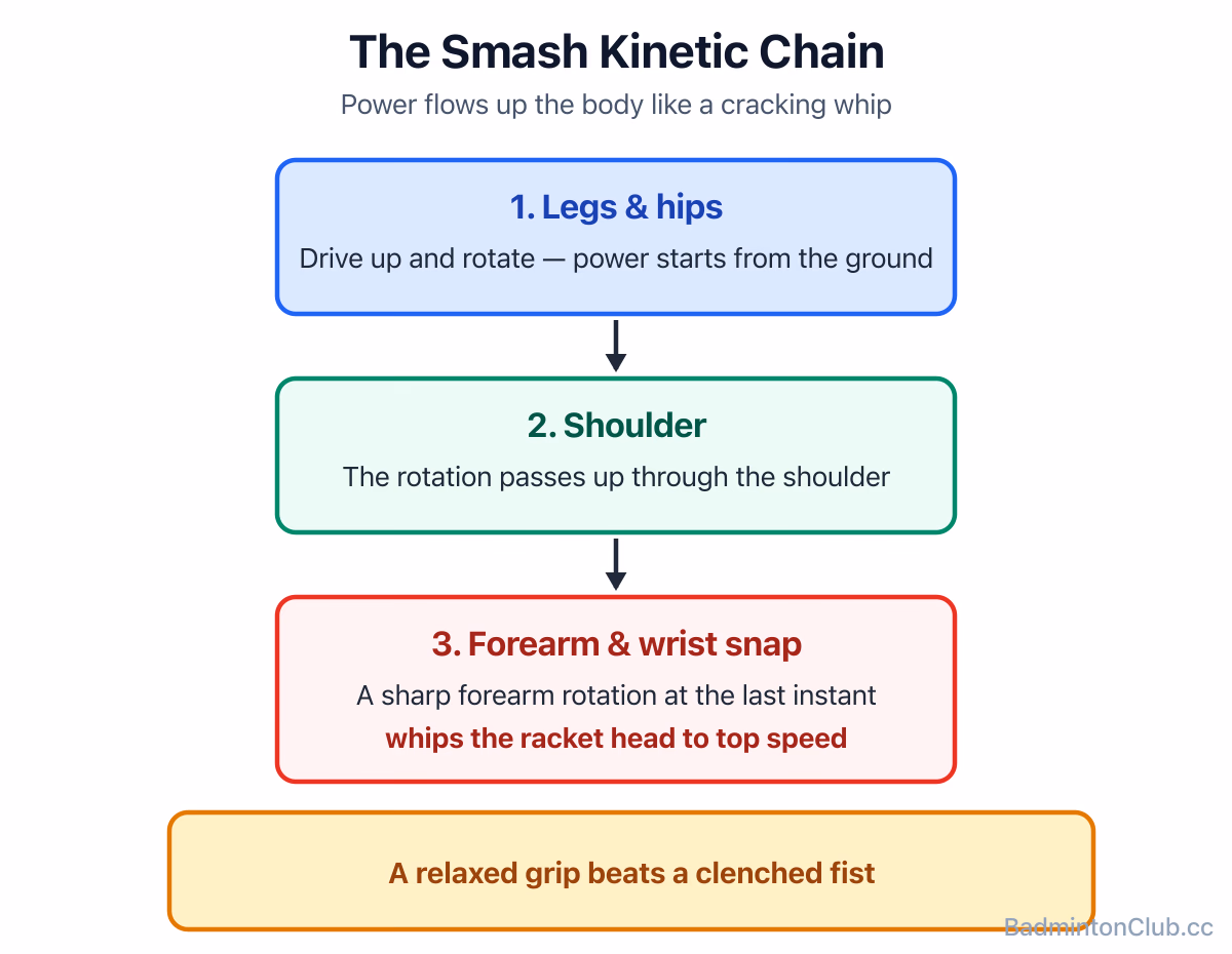 The smash kinetic chain: legs and hips, then shoulder, then a forearm-rotation wrist snap accelerates the racket head