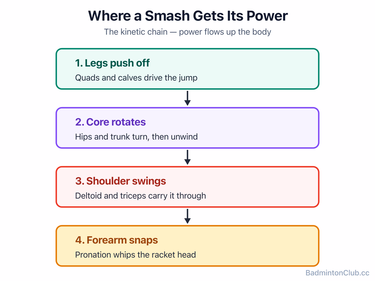 How power flows through the kinetic chain in a smash — from legs through the rotating core to the shoulder and forearm