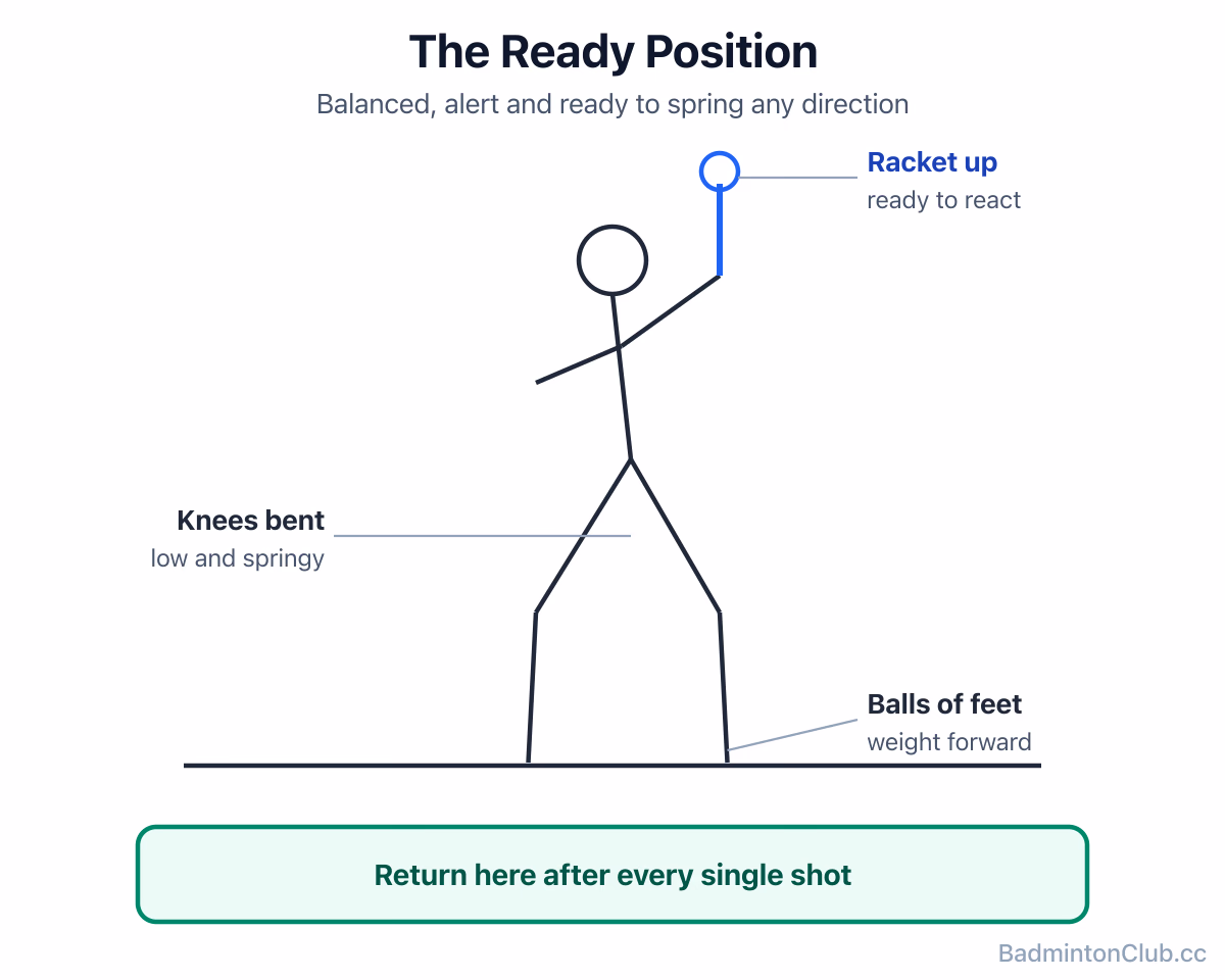 The badminton ready position: knees bent, racket up, weight forward on the balls of the feet