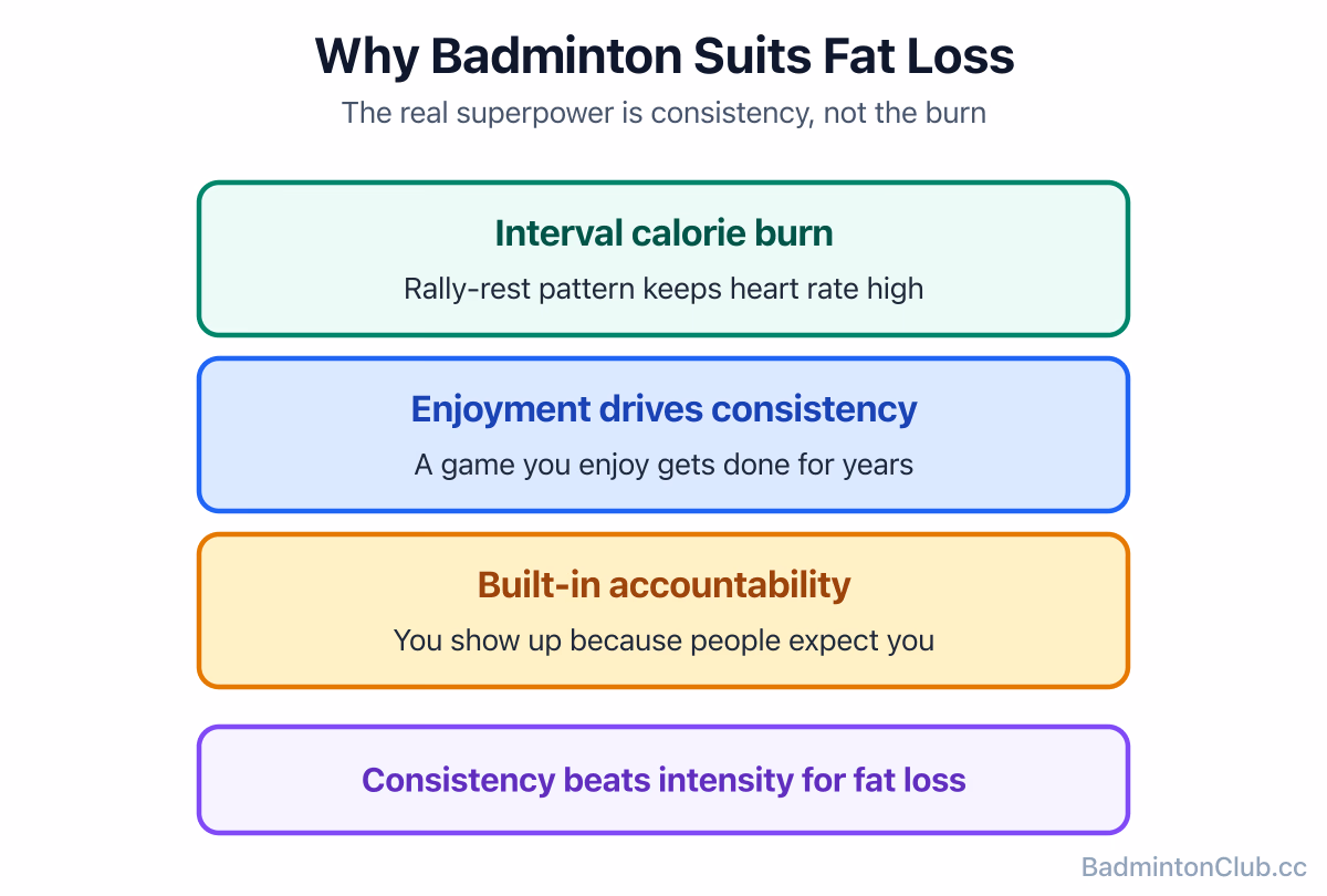 Why badminton works for weight loss: interval calorie burn, enjoyment that drives consistency, and built-in social accountability