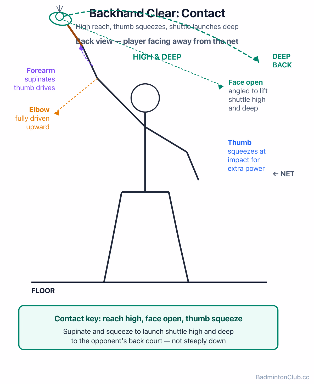 Backhand clear contact — high reach, forearm supinating and thumb squeezing to snap the shuttle deep to the back court