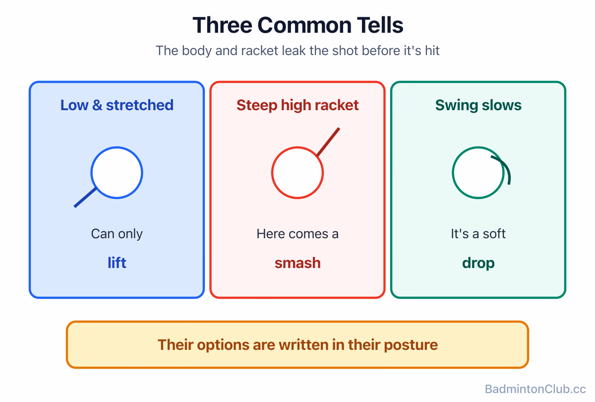Common tells: a low stretched body can only lift, a steep high racket means smash, a decelerating swing means drop
