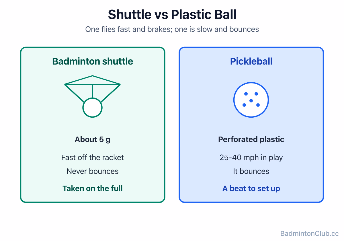 A 5 g feather shuttle next to a perforated plastic pickleball, with their in-play speeds