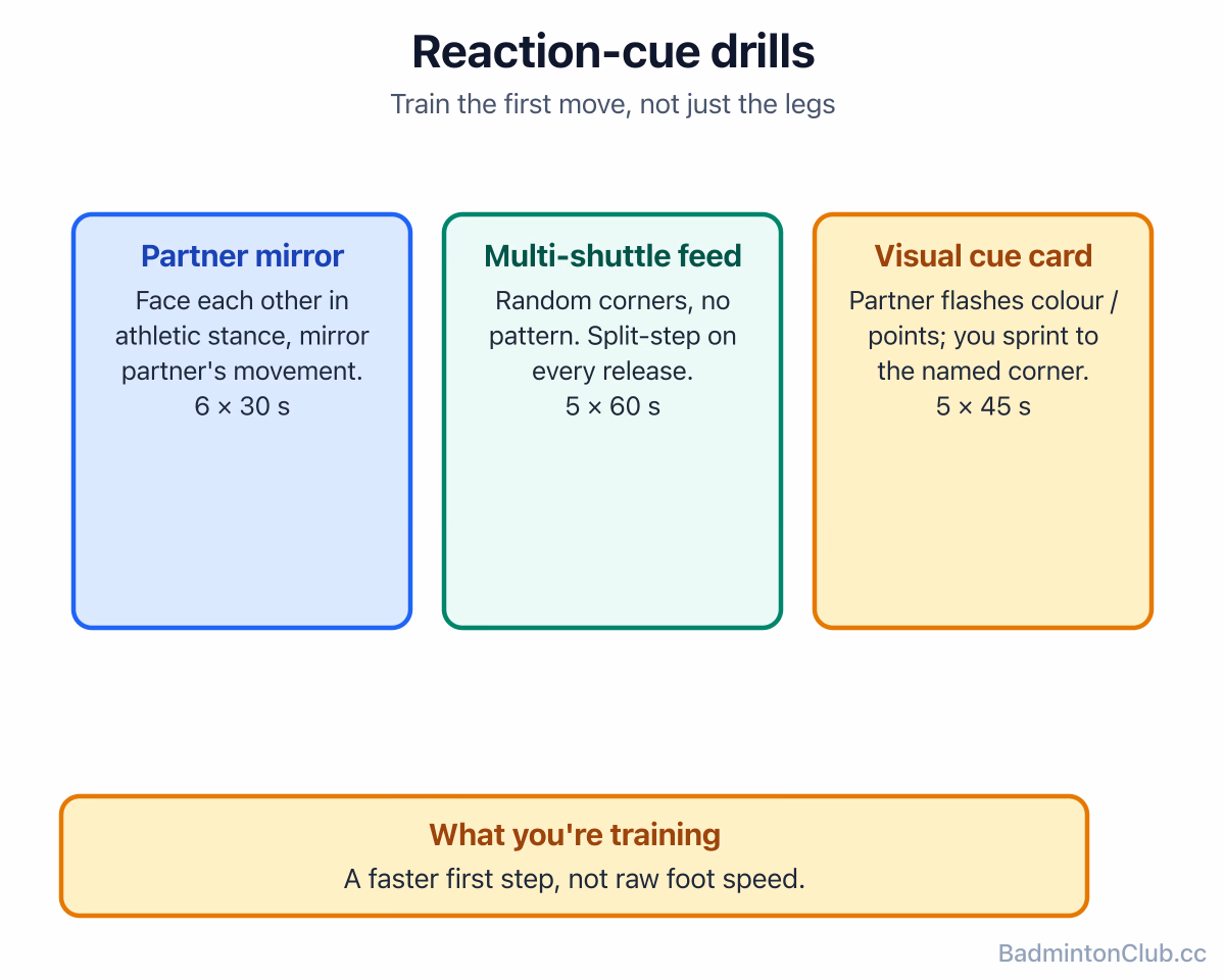 Reaction-cue drills — partner-mirror, random multi-shuttle feed and colour-card cue drill, training a faster first step