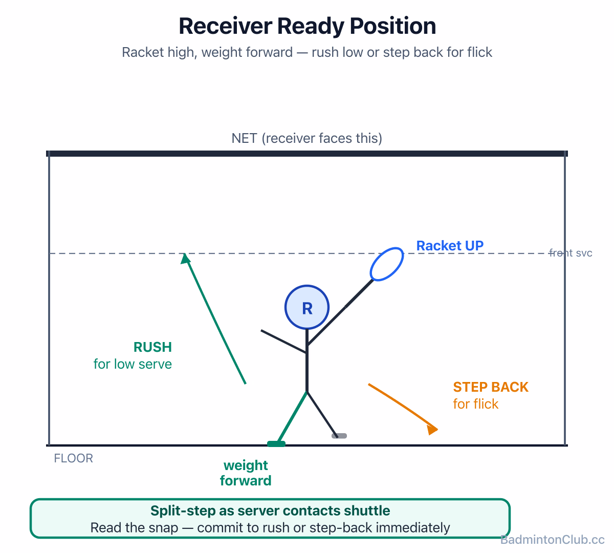 Receiver ready position — racket up high, weight on the front foot, poised to rush the low serve or step back on the flick