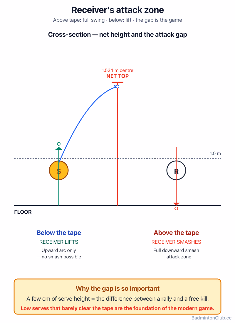 The receiver's attack zone — why a serve a few centimetres too high gets killed