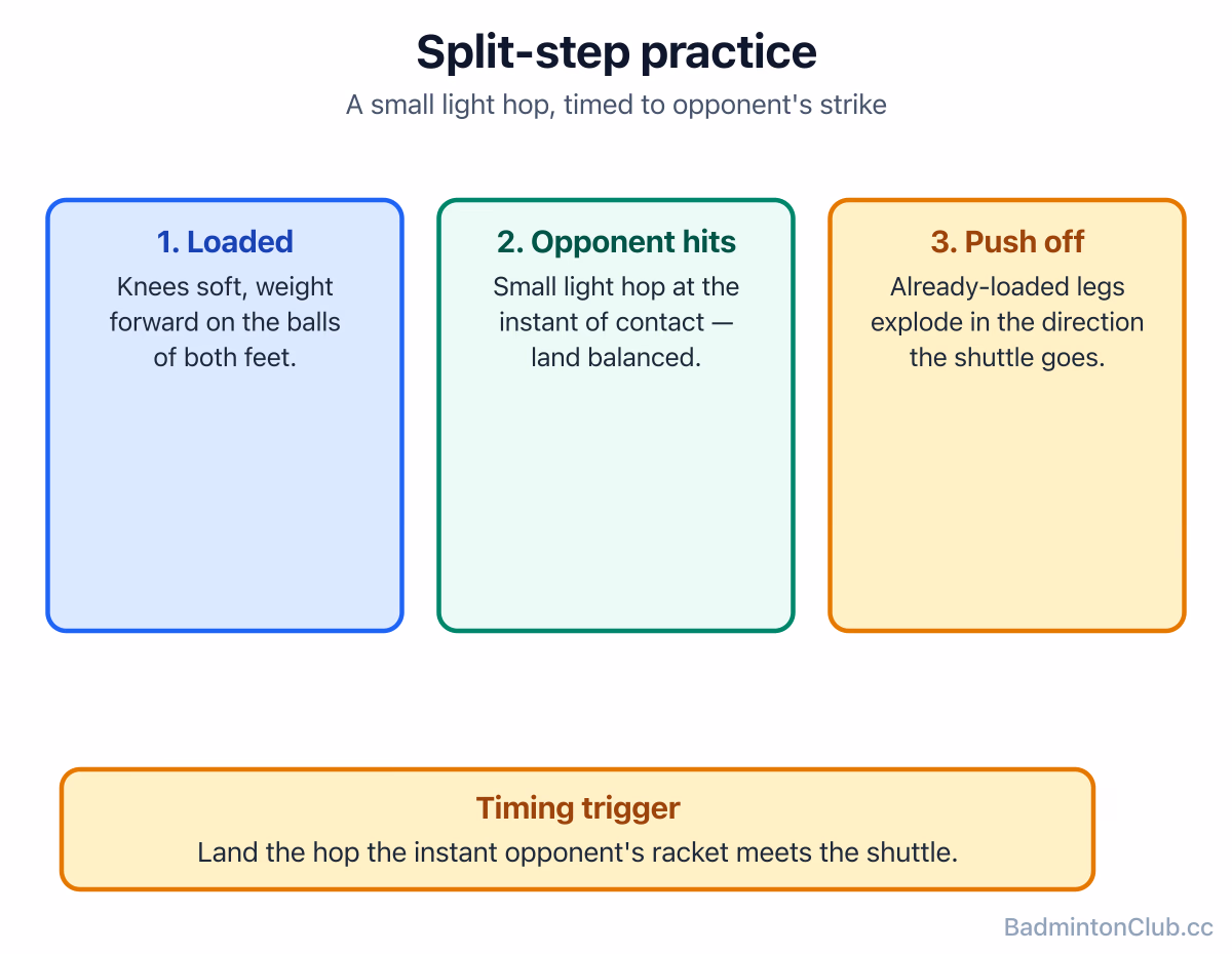 Split-step practice — small hop landing balanced on the balls of both feet, knees bent, just as the imagined opponent "hits"